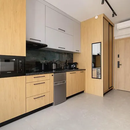 شقة Air Conditioned Stylish With Parking By Renters كاتوفيتسه